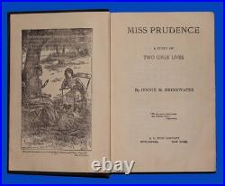 1873 And 1883 Two Antique Storybook Novels Excellent Collectible Condition
