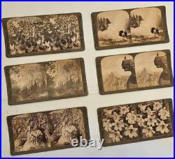 20 Card Boxed Set, Yellowstone, Yosemite, Roosevelt. Color Underwood Stereoview