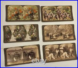 20 Card Boxed Set, Yellowstone, Yosemite, Roosevelt. Color Underwood Stereoview