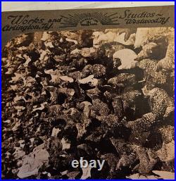 20 Card Boxed Set, Yellowstone, Yosemite, Roosevelt. Color Underwood Stereoview