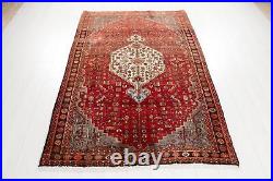 6' 9 x 4' 4 Excellent Hand-Knotted Collectible Antique Tribal Rug