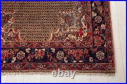 9' 9 x 4' 10 Excellent Hand-Knotted Vintage Collectible Tribal Rug