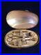 ANTIQUE-FRENCH-PALAIS-ROYAL-EGG-SHAPED-MOTHER-OF-PEARL-SEWING-ETUI-c1840-01-epv