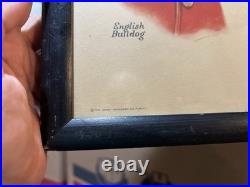 ANTIQUE MILITARY DOGS litho Print Wallace Robinson 1915 WWI Bulldog Dachshund