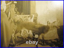 Antiqu Unusual Grandma Stuffed Post Mortem Fox Love Owl Violin Rppc Photo Wow