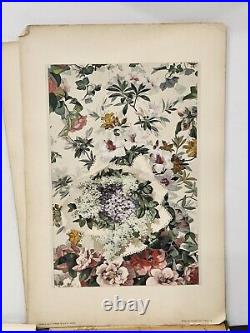 Antique CHRISTIAN STOLL Decorator FLORAL DESIGN PATTERNS 26 Plates Collection