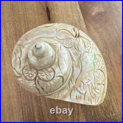Antique Carved Iridescent turbo Shell Horse Animal Motif Display Piece