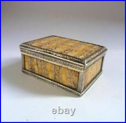 Antique Georgian Snuff Box, Sterling Silver & Mammoth Tooth c. 1820