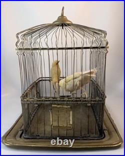Antique Hendryx Brass Bird Cage with Two Decorative Birds Perched Inside