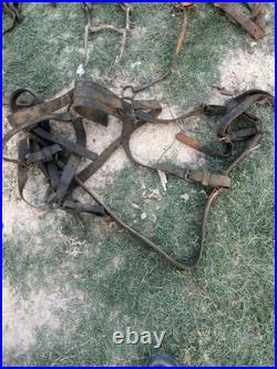 Antique Horse Team Leather
