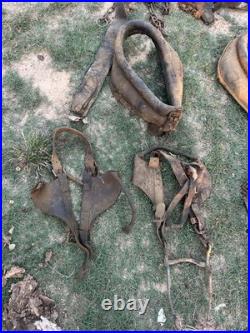 Antique Horse Team Leather