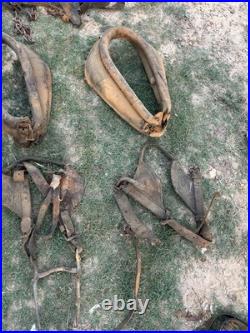 Antique Horse Team Leather