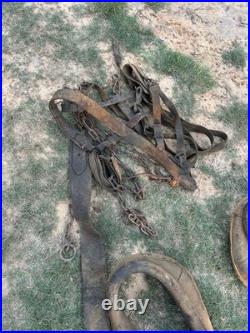 Antique Horse Team Leather