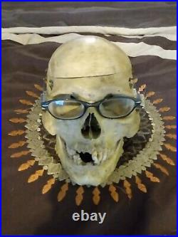 Antique Medical Skull
