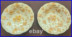 Antique Meissen Germany Pair of Gilded Porcelain Cabinet Plates GoldFloral Decor