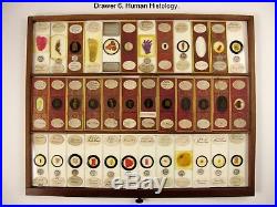 Antique Microscope Slide Cabinet complete with 992 of the very finest Specimens