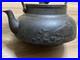 Antique-Nanbu-Iron-Teapot-Ryoseido-Craft-Collectible-Japanese-Art-Piece-01-lp