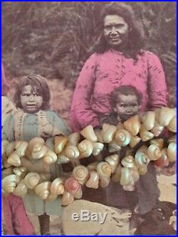 Antique Vintage Australian Aboriginal Old Shell Necklace Early Tourist Market