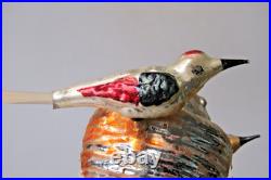 Antique Vintage Glass Clip On BIRDS on NEST w Chicks Christmas Ornament Germany