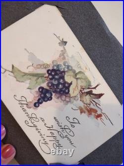 Antique Vintage Thanksgiving Postcard Album 50+ PC Blank & Stamped