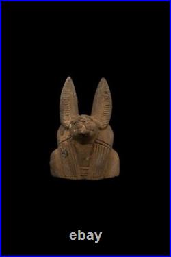Authentic Egyptian Head Rare Egyptian Antiquities God Anubis Pharaonic BC