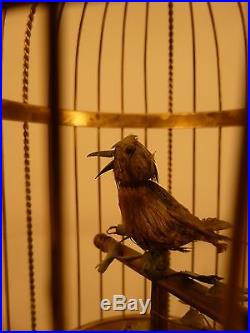 Bontems, Griesbaum Era Antique Singing Bird Automaton In Gilded Cage
