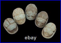 COLLECTION of 5 RARE ANCIENT EGYPTIAN ANTIQUE SCARAB Stone (Egypt History)