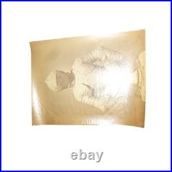 Charles Clifford 1860s Albumen Print Philip III Child Armor Royal Armoury Madrid