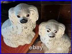 Fantastic 19C English Victorian Staffordshire GLASS EYE Spaniel Dog Pair 10.25