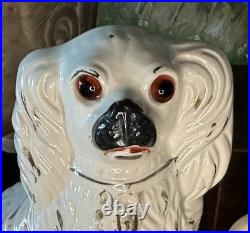 Fantastic 19C English Victorian Staffordshire GLASS EYE Spaniel Dog Pair 10.25