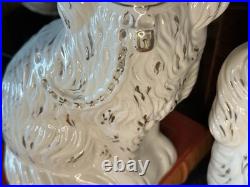 Fantastic 19C English Victorian Staffordshire GLASS EYE Spaniel Dog Pair 10.25