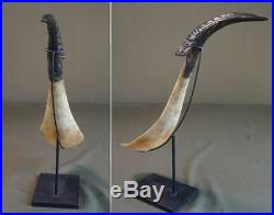 Large 1800 Native American NW Alaska Haida Feast Figural Horn Ladle
