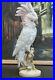 Large-Antique-Royal-Dux-Czechoslovakia-Cockatoo-15-5inches-tall-01-trc