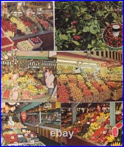 Lot Of 1000+ Antique/Vintage Postcards Mostly All USA