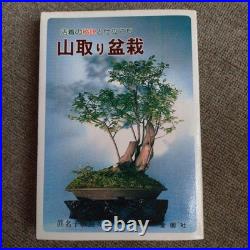 Mountain Bonsai Manako Keira Antique Showa Era Gardening Collectible Japan