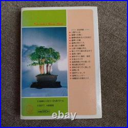 Mountain Bonsai Manako Keira Antique Showa Era Gardening Collectible Japan