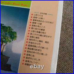 Mountain Bonsai Manako Keira Antique Showa Era Gardening Collectible Japan