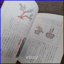 Mountain Bonsai Manako Keira Antique Showa Era Gardening Collectible Japan