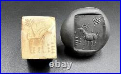 Near Eastern Antiquities Bactrian Sasanian Marble Stone Seal Stamp Collectable