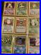 Pokemon-PokeBall-Binder-Collection-10-VINTAGE-WOTC-HOLOs-More-90-Cards-total-01-fnqw