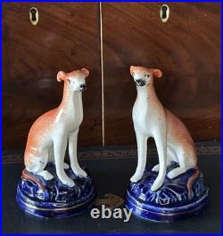 Pretty Pair of 19C Antique Staffordshire Dog Greyhound/Whippets Cobalt Bases 4
