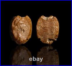 Roman Terracotta Portrait Bust Septimius Severus 200AD Roman Antiquities COA