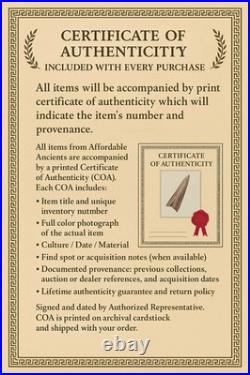 Roman Terracotta Portrait Bust Septimius Severus 200AD Roman Antiquities COA