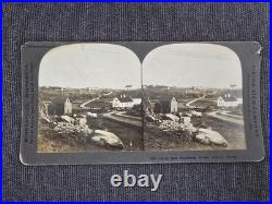 Stereoscope Bundle 2 Viewers + 15 Cards, Antique 3D Photo Collection